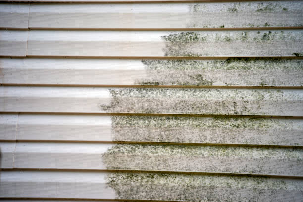 Best Brick Veneer Siding  in New Hope, MS