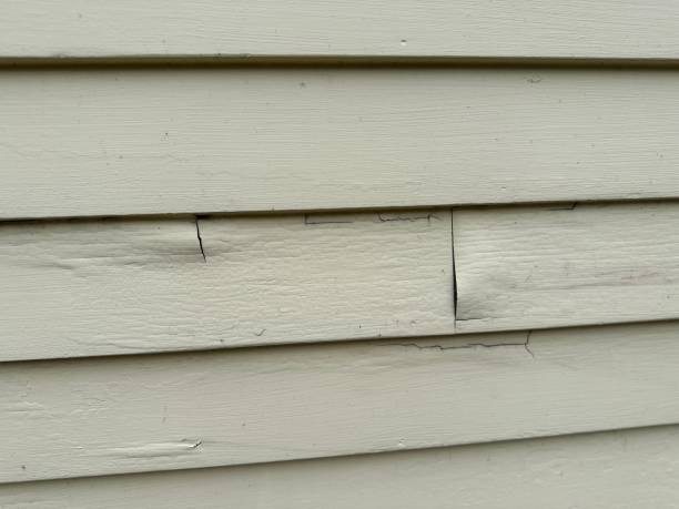 Best Engineered Wood Siding  in New Hope, MS